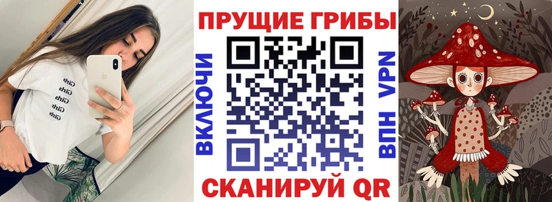 KRAKEN сайт  купить   Льгов  Галлюциногенные грибы Cubensis 
